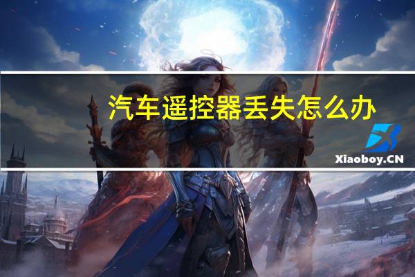 汽车遥控器丢失怎么办
