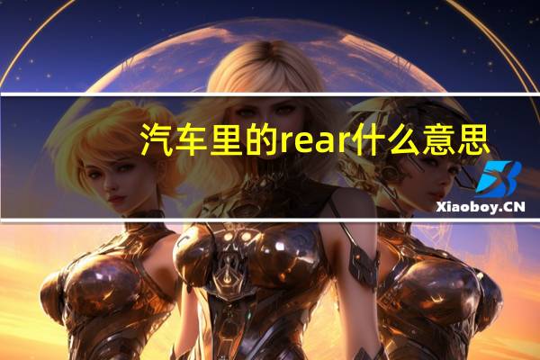 汽车里的rear什么意思