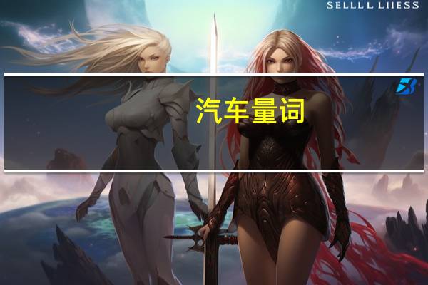 汽车量词