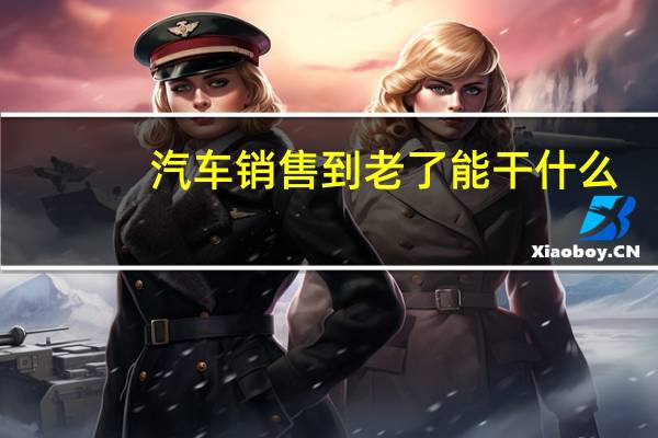 汽车销售到老了能干什么