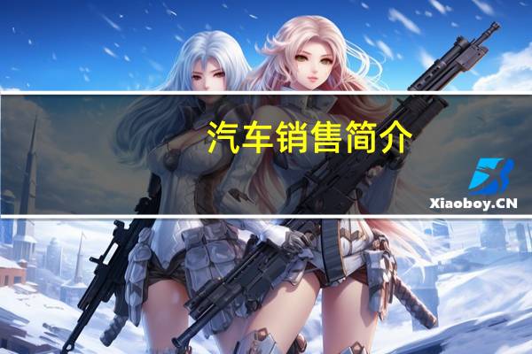 汽车销售简介