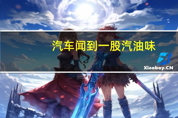 汽车闻到一股汽油味
