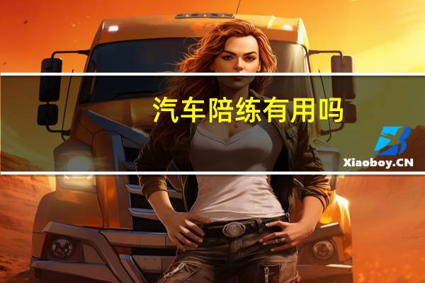 汽车陪练有用吗