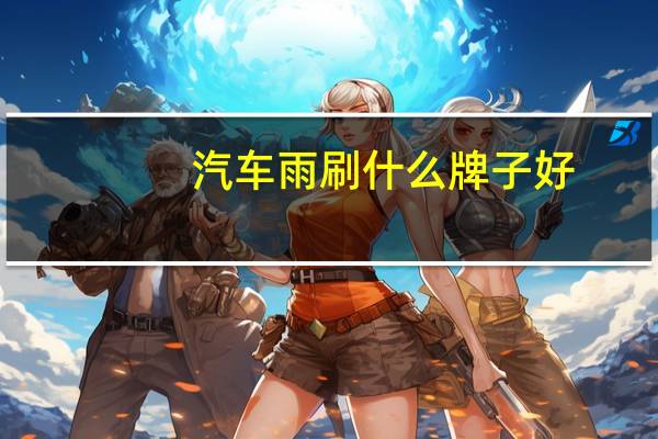 汽车雨刷什么牌子好