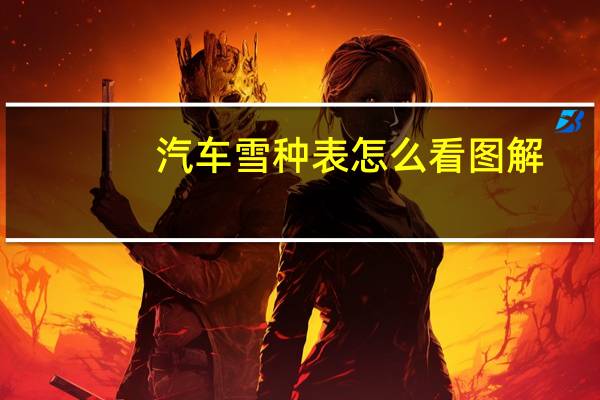 汽车雪种表怎么看图解