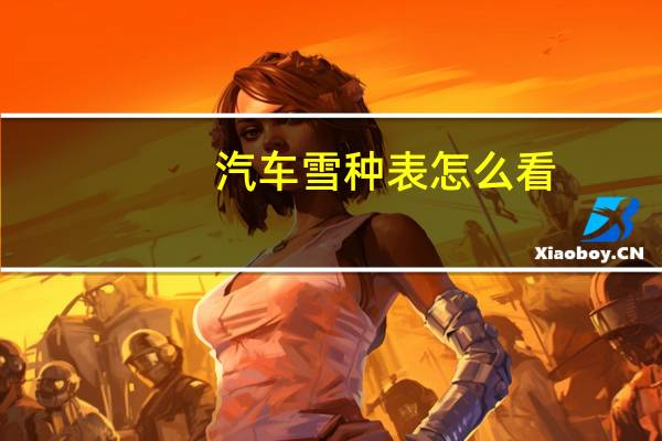 汽车雪种表怎么看