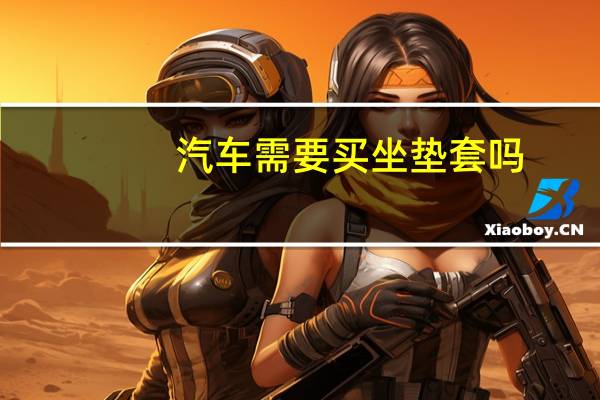 汽车需要买坐垫套吗