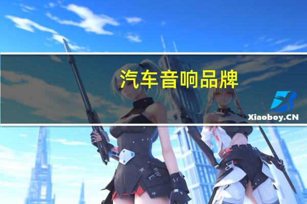 汽车音响品牌