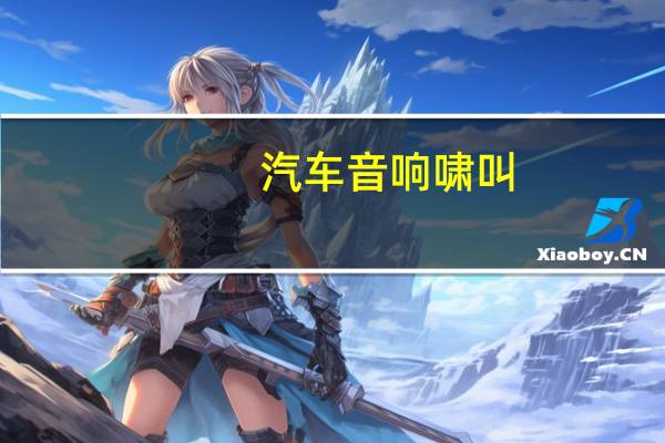 汽车音响啸叫