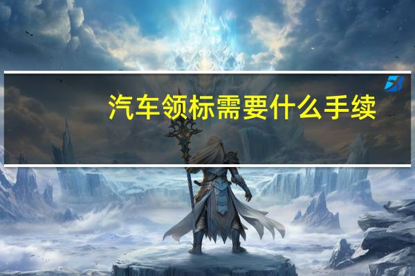 汽车领标需要什么手续