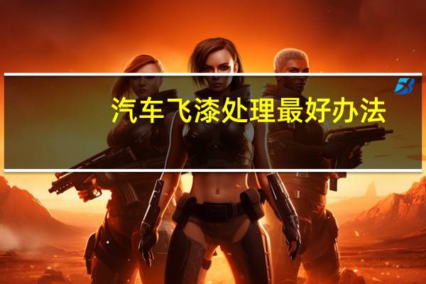 汽车飞漆处理最好办法