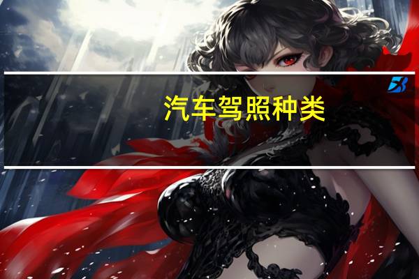 汽车驾照种类