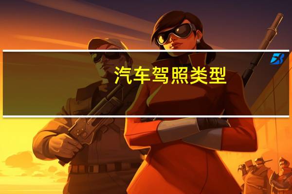 汽车驾照类型