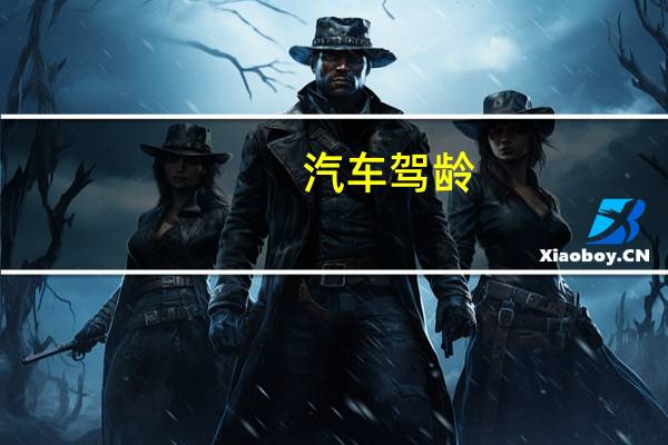 汽车驾龄