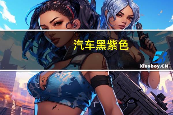 汽车黑紫色