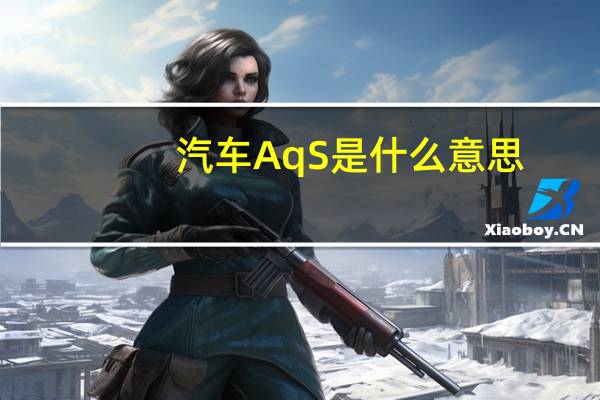 汽车AqS是什么意思