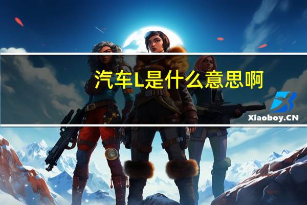 汽车L是什么意思啊