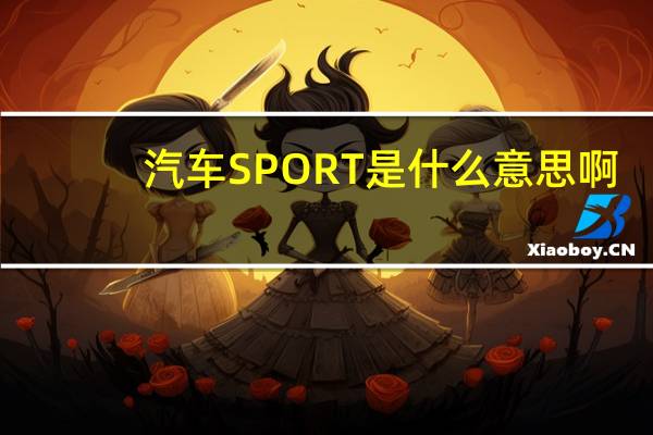 汽车SPORT是什么意思啊