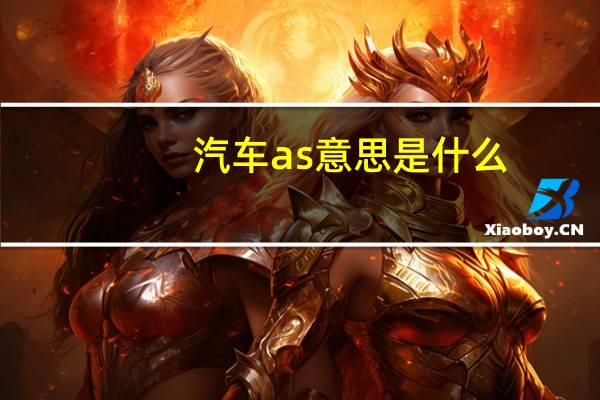 汽车as意思是什么
