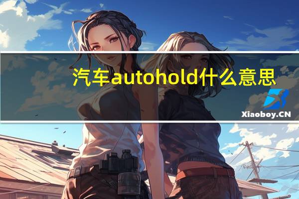 汽车autohold什么意思