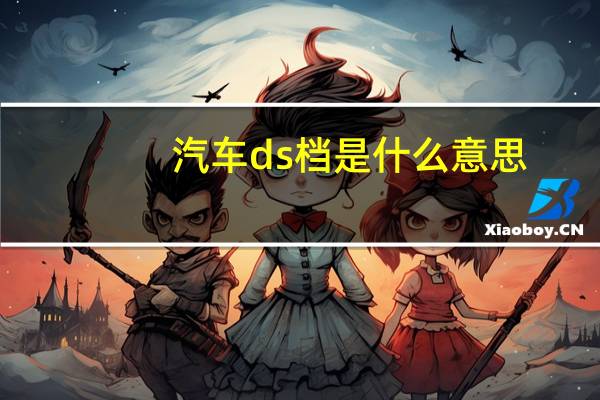 汽车ds档是什么意思