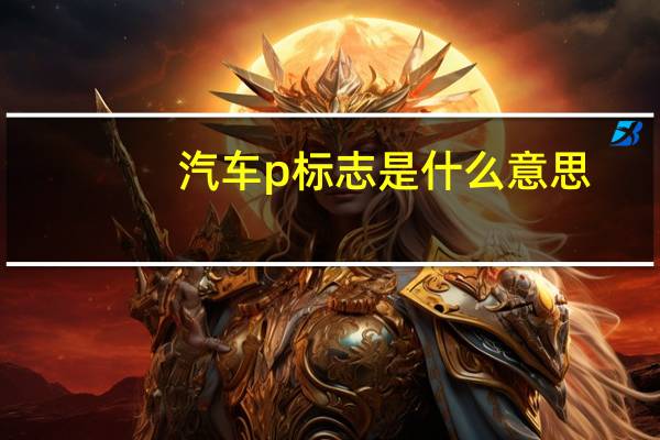 汽车p标志是什么意思
