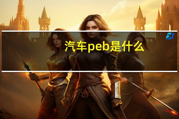 汽车peb是什么