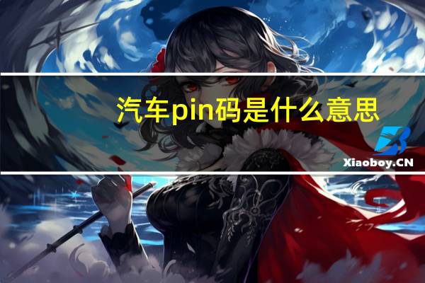 汽车pin码是什么意思