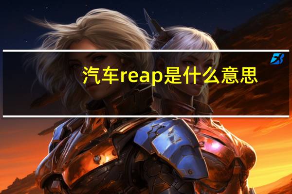 汽车reap是什么意思