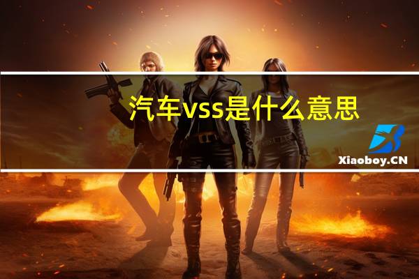汽车vss是什么意思