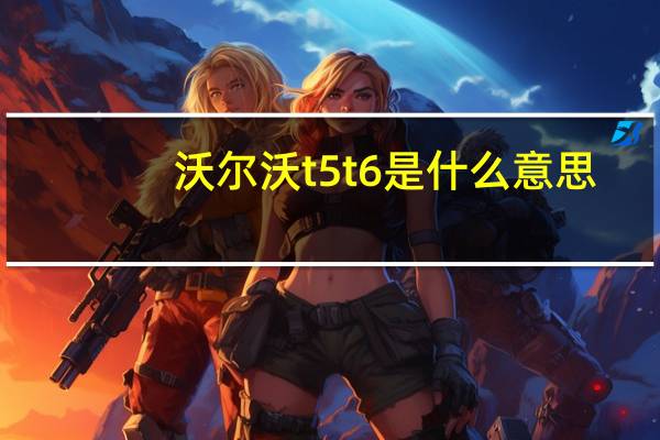 沃尔沃t5t6是什么意思