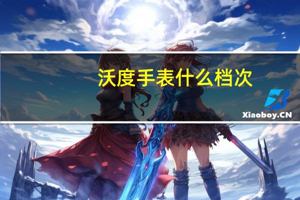 沃度手表什么档次