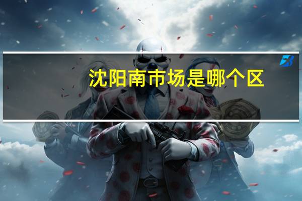 沈阳南市场是哪个区