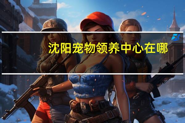 沈阳宠物领养中心在哪