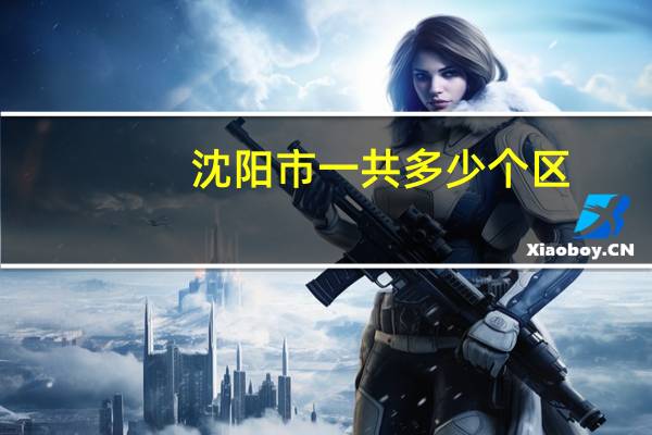 沈阳市一共多少个区