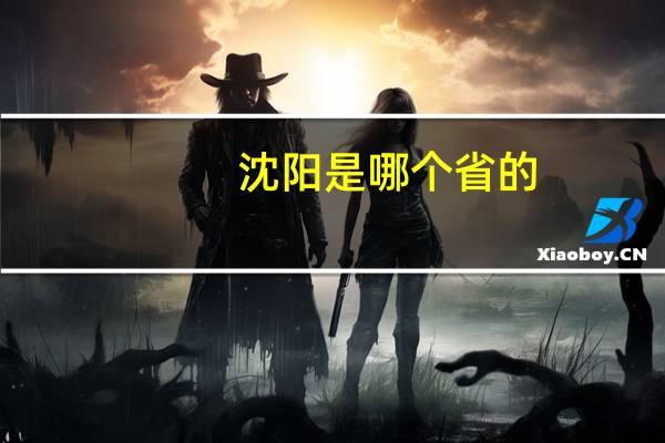沈阳是哪个省的