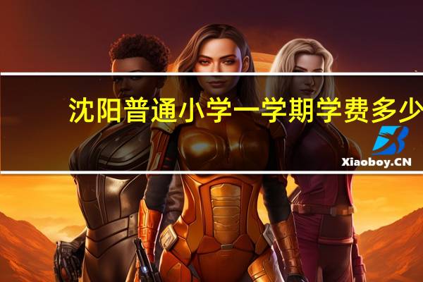 沈阳普通小学一学期学费多少