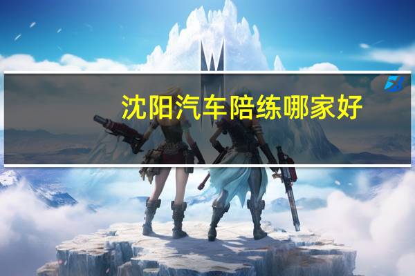 沈阳汽车陪练哪家好