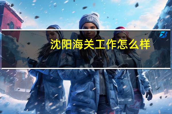 沈阳海关工作怎么样