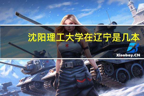 沈阳理工大学在辽宁是几本