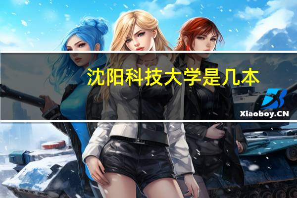 沈阳科技大学是几本