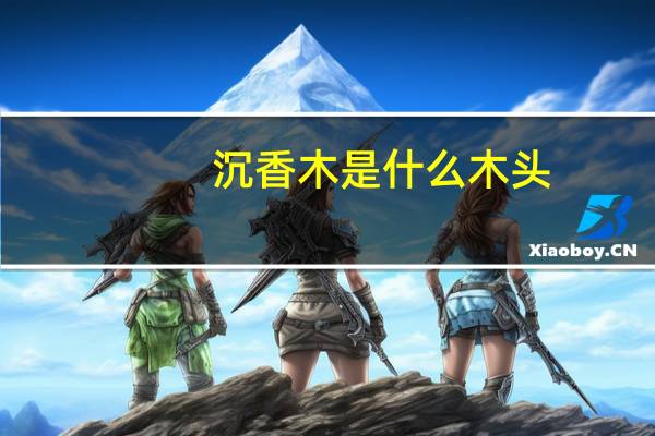沉香木是什么木头