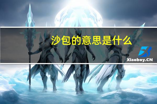 沙包的意思是什么