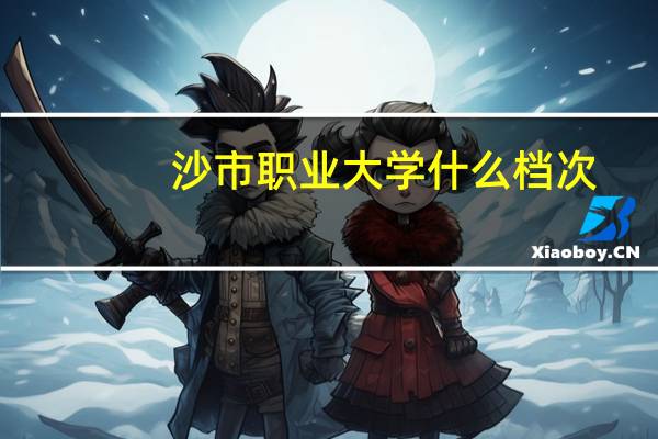 沙市职业大学什么档次