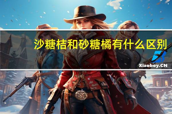 沙糖桔和砂糖橘有什么区别