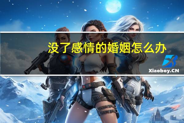 没了感情的婚姻怎么办