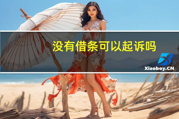 没有借条可以起诉吗