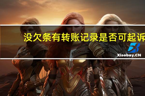 没欠条有转账记录是否可起诉