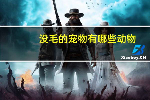 没毛的宠物有哪些动物
