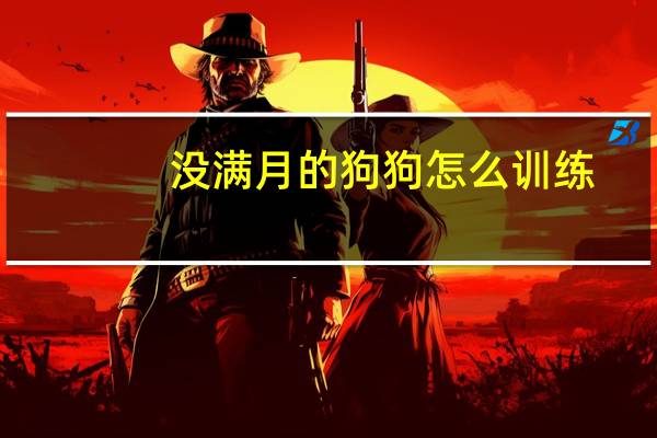 没满月的狗狗怎么训练
